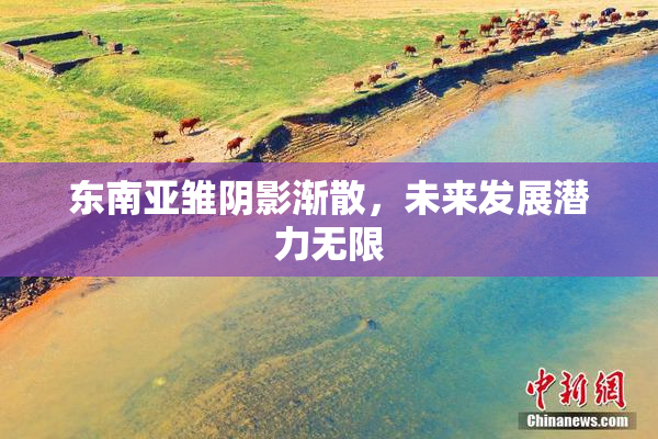 东南亚雏阴影渐散，未来发展潜力无限