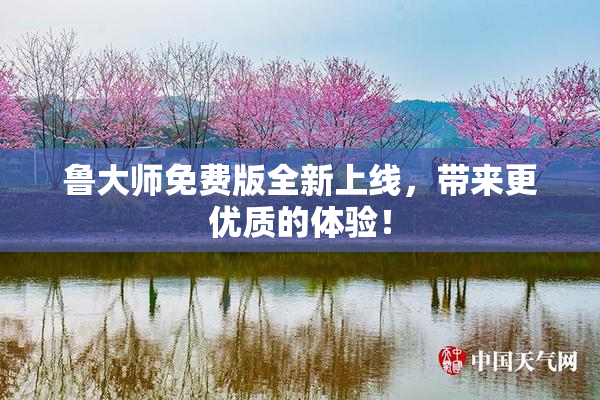 鲁大师免费版全新上线，带来更优质的体验！