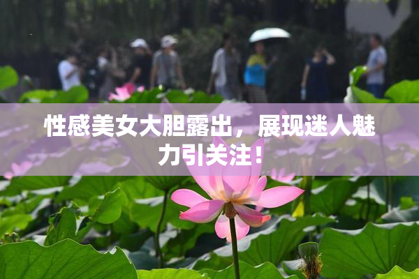 性感美女大胆露出，展现迷人魅力引关注！