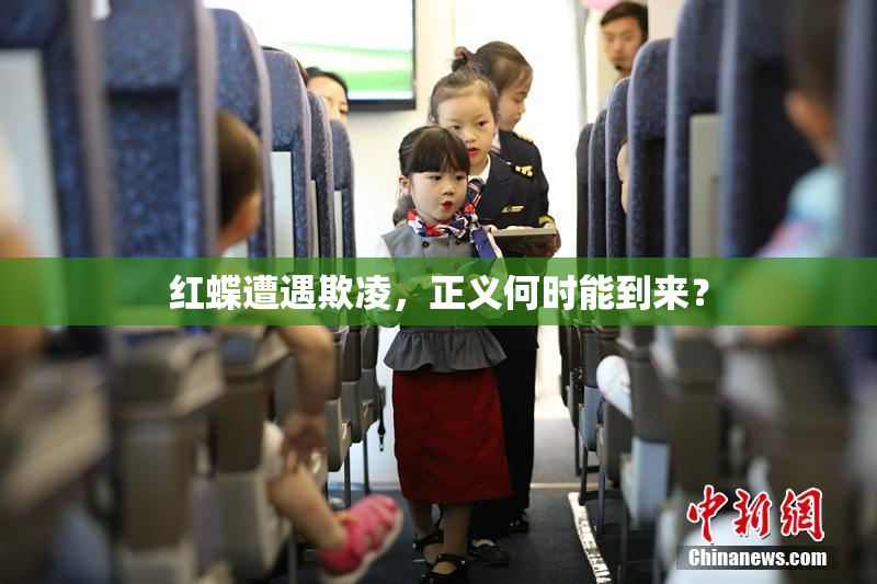 红蝶遭遇欺凌，正义何时能到来？