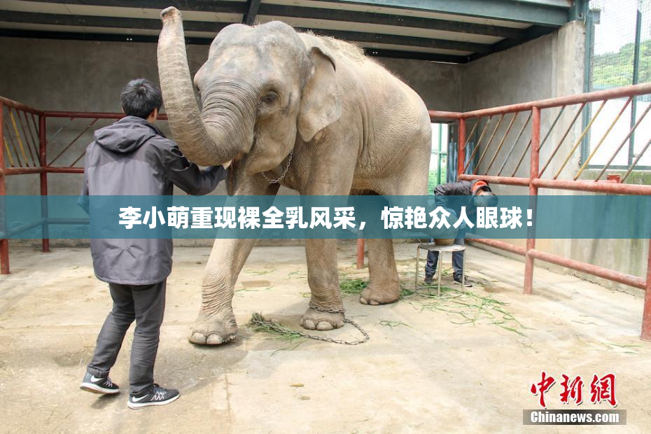 李小萌重现裸全乳风采，惊艳众人眼球！