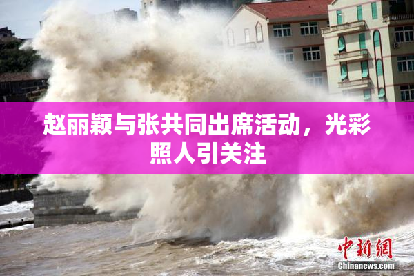 赵丽颖与张共同出席活动，光彩照人引关注