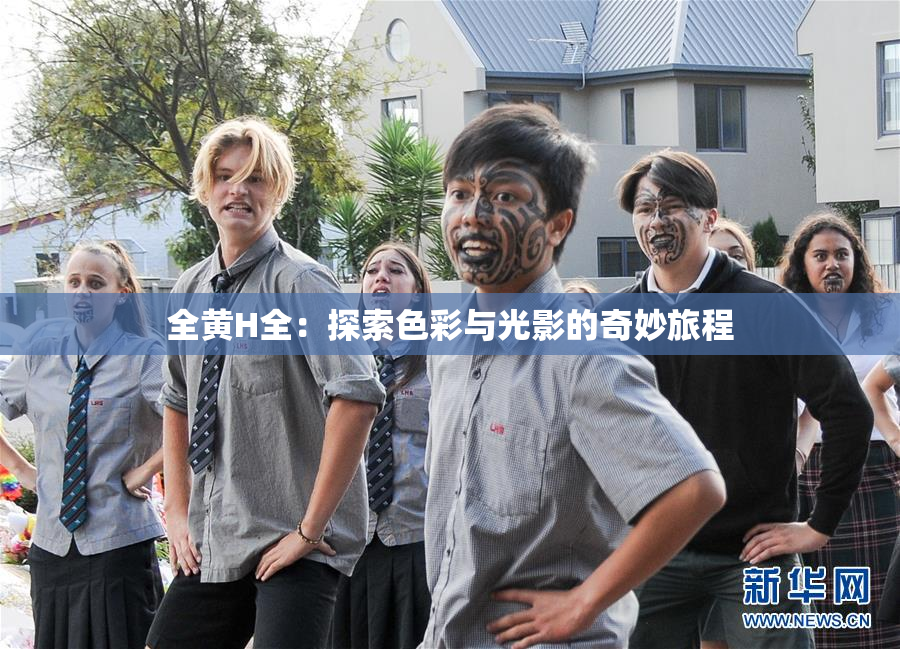 全黄H全：探索色彩与光影的奇妙旅程