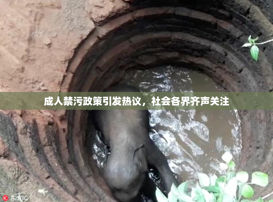 成人禁污政策引发热议，社会各界齐声关注