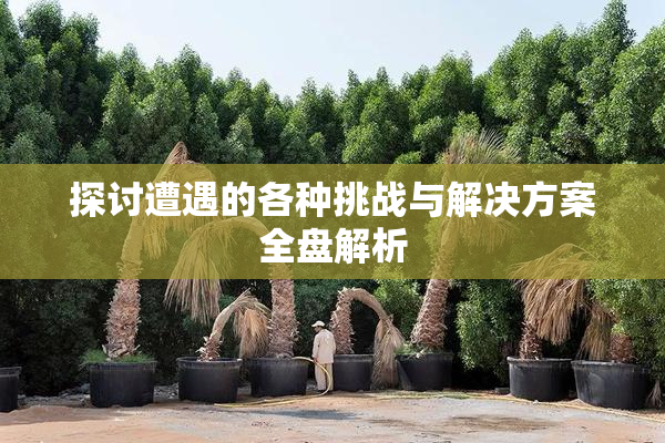 探讨遭遇的各种挑战与解决方案全盘解析