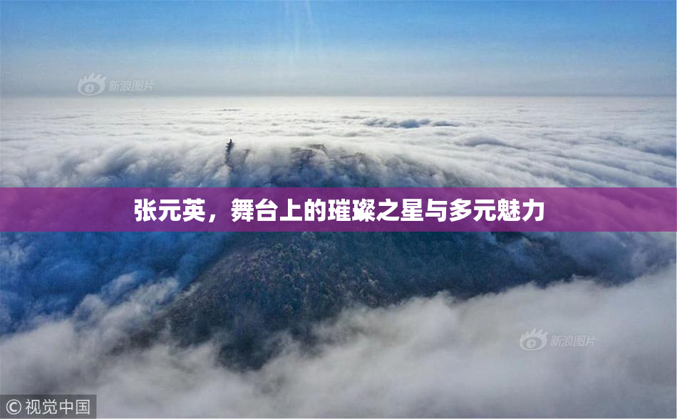 张元英，舞台上的璀璨之星与多元魅力