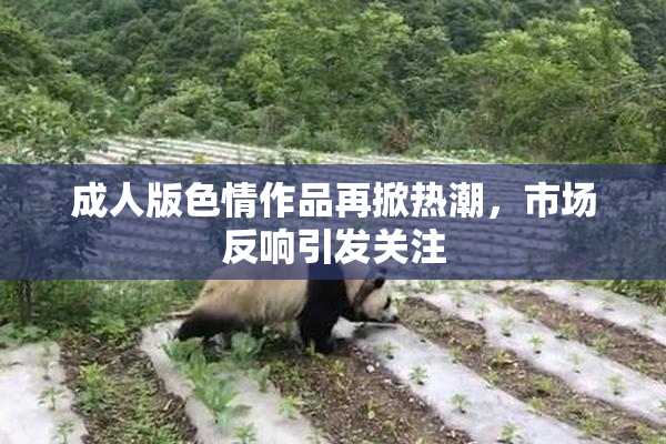 成人版色情作品再掀热潮，市场反响引发关注