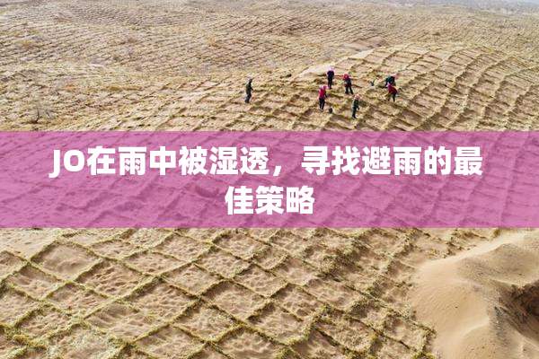 JO在雨中被湿透，寻找避雨的最佳策略