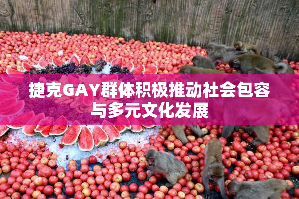 捷克GAY群体积极推动社会包容与多元文化发展