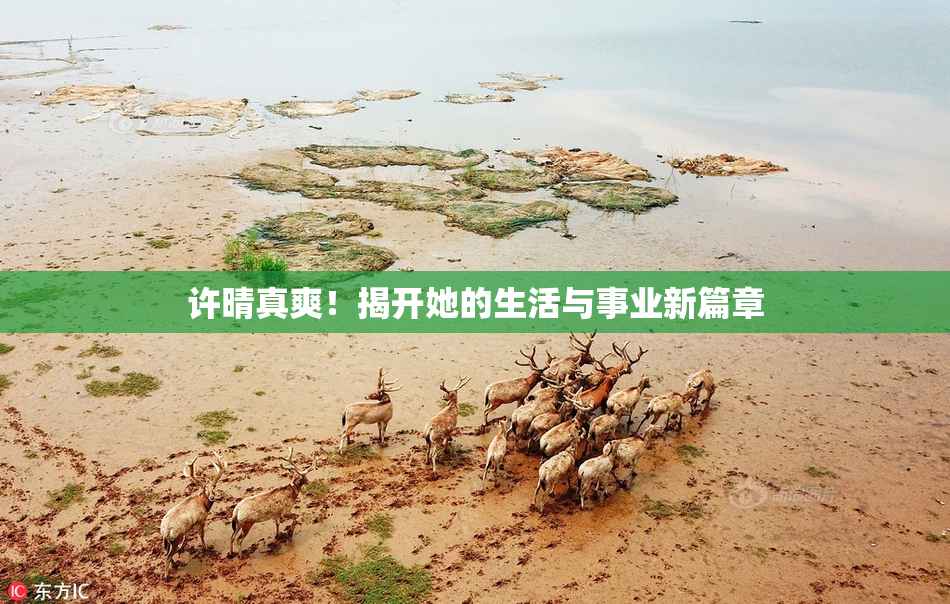 许晴真爽！揭开她的生活与事业新篇章