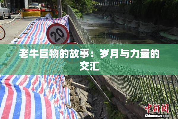 老牛巨物的故事：岁月与力量的交汇