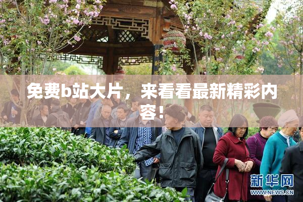免费b站大片，来看看最新精彩内容！