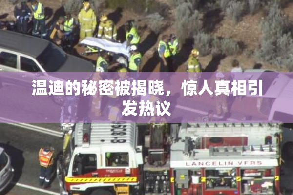 温迪的秘密被揭晓，惊人真相引发热议