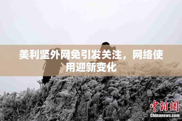 美利坚外网免引发关注，网络使用迎新变化