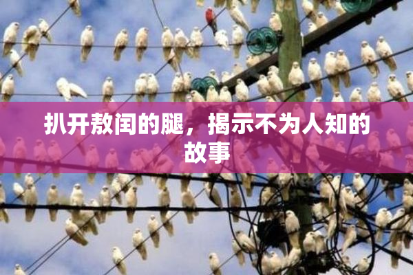 扒开敖闰的腿，揭示不为人知的故事