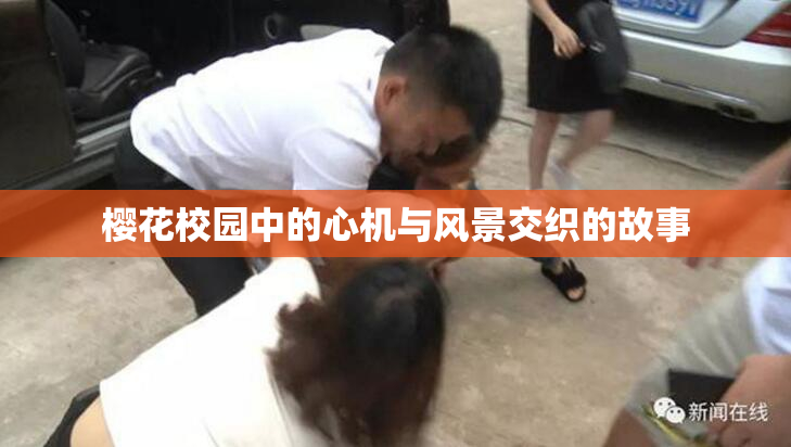 樱花校园中的心机与风景交织的故事