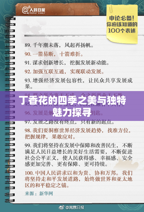 丁香花的四季之美与独特魅力探寻