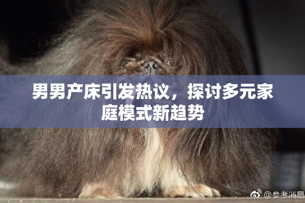 男男产床引发热议，探讨多元家庭模式新趋势