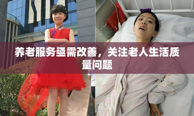 养老服务亟需改善，关注老人生活质量问题