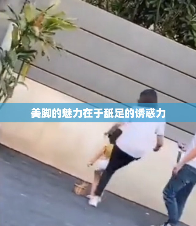 美脚的魅力在于舐足的诱惑力