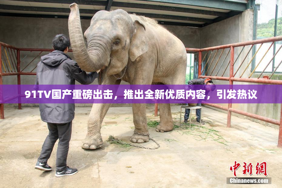 91TV国产重磅出击，推出全新优质内容，引发热议