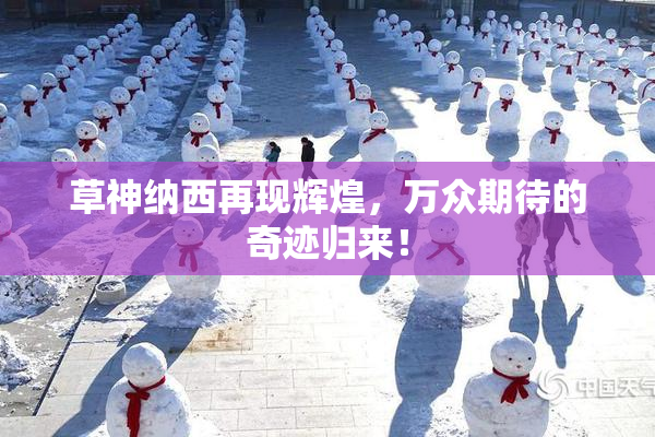 草神纳西再现辉煌，万众期待的奇迹归来！