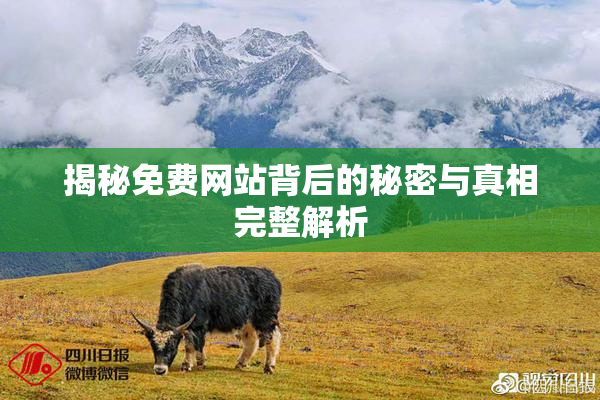 揭秘免费网站背后的秘密与真相完整解析