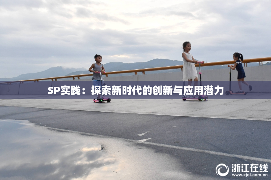 SP实践：探索新时代的创新与应用潜力