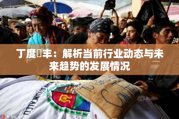 丁度巜丰：解析当前行业动态与未来趋势的发展情况