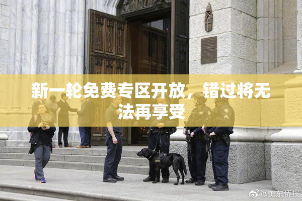 新一轮免费专区开放，错过将无法再享受