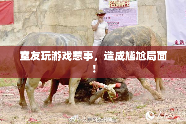 室友玩游戏惹事，造成尴尬局面！