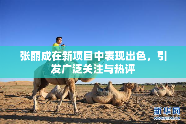 张丽成在新项目中表现出色，引发广泛关注与热评