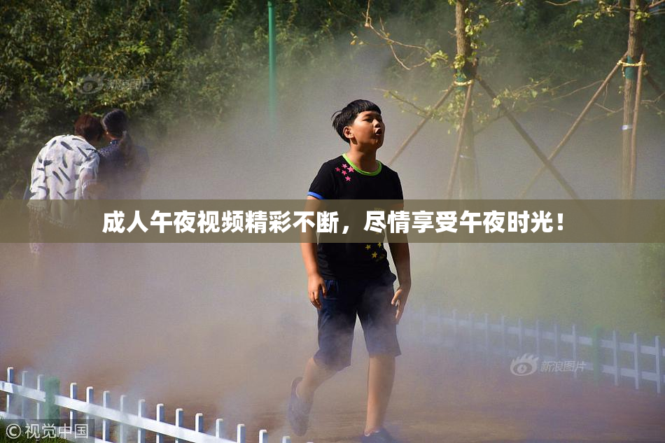 成人午夜视频精彩不断，尽情享受午夜时光！