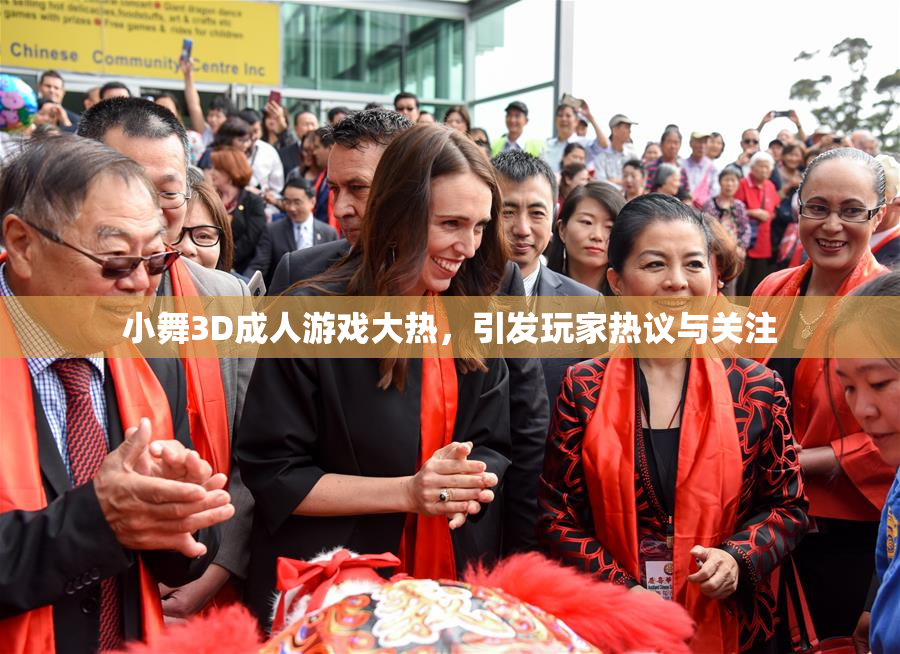 小舞3D成人游戏大热，引发玩家热议与关注