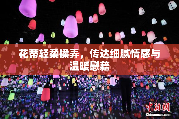 花蒂轻柔揉弄，传达细腻情感与温暖慰藉
