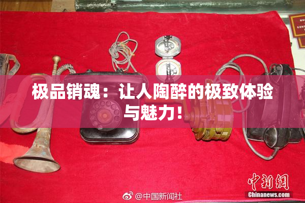 极品销魂：让人陶醉的极致体验与魅力！