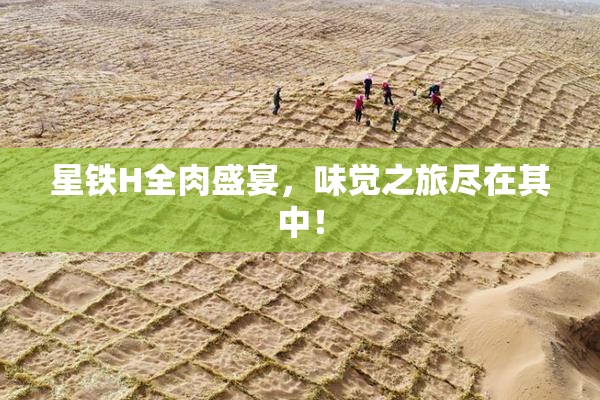 星铁H全肉盛宴，味觉之旅尽在其中！