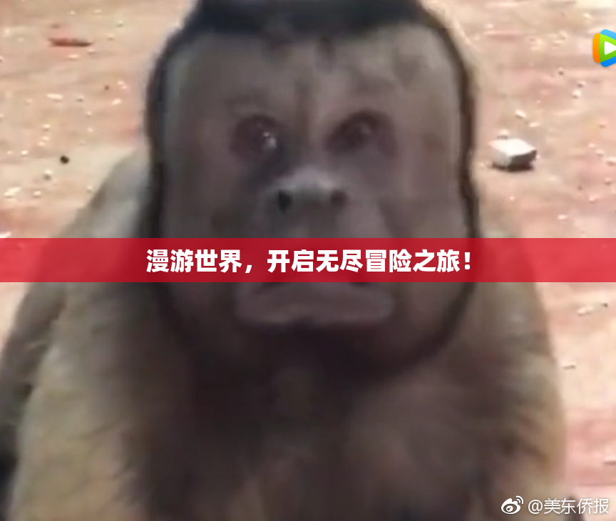 漫游世界，开启无尽冒险之旅！