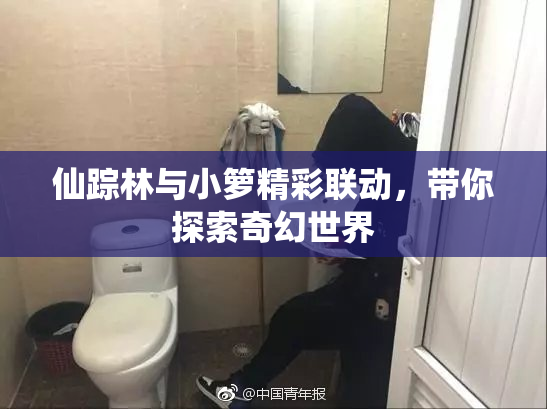 仙踪林与小箩精彩联动，带你探索奇幻世界