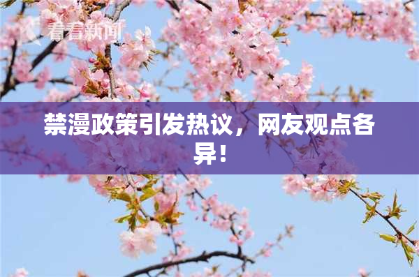 禁漫政策引发热议，网友观点各异！
