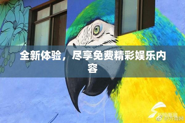 全新体验，尽享免费精彩娱乐内容