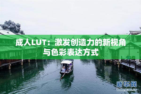 成人LUT：激发创造力的新视角与色彩表达方式