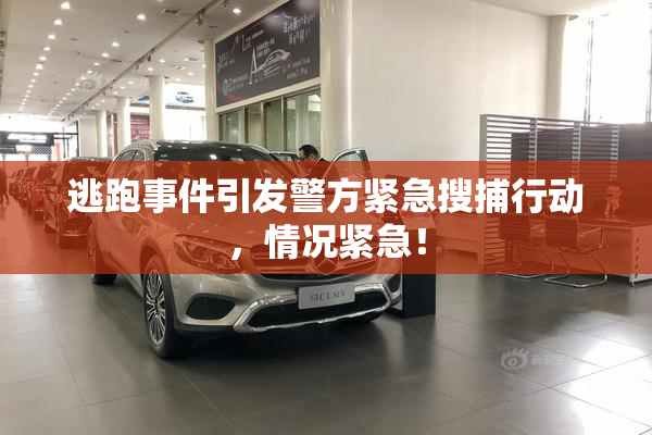 逃跑事件引发警方紧急搜捕行动，情况紧急！