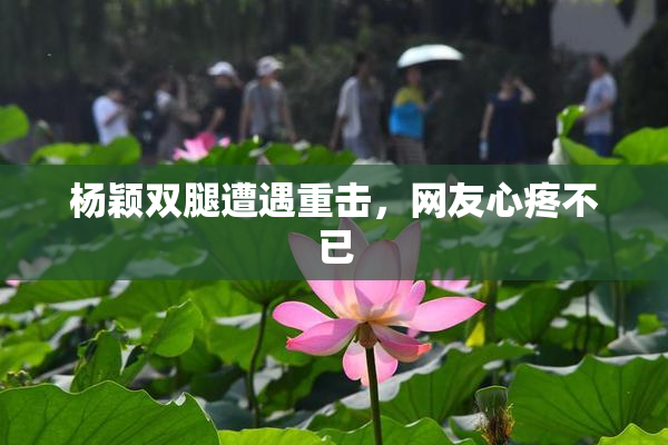 杨颖双腿遭遇重击，网友心疼不已