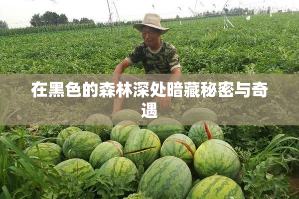 在黑色的森林深处暗藏秘密与奇遇