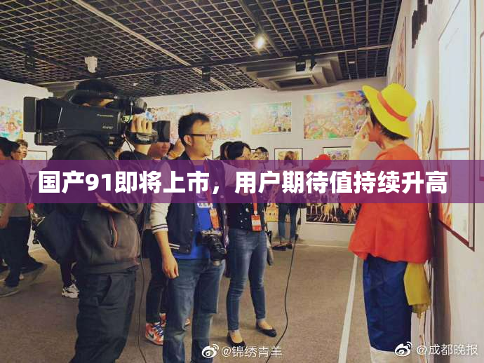国产91即将上市，用户期待值持续升高