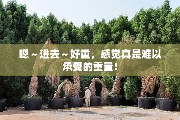 嗯～进去～好重，感觉真是难以承受的重量！