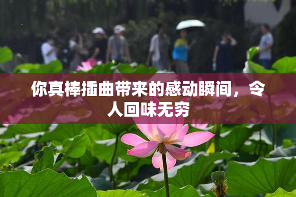 你真棒插曲带来的感动瞬间，令人回味无穷