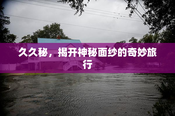 久久秘，揭开神秘面纱的奇妙旅行