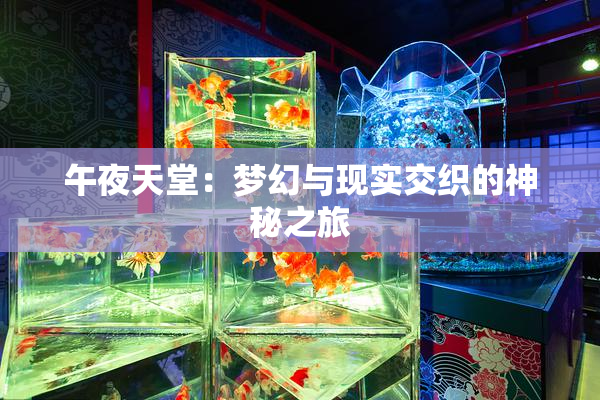 午夜天堂：梦幻与现实交织的神秘之旅